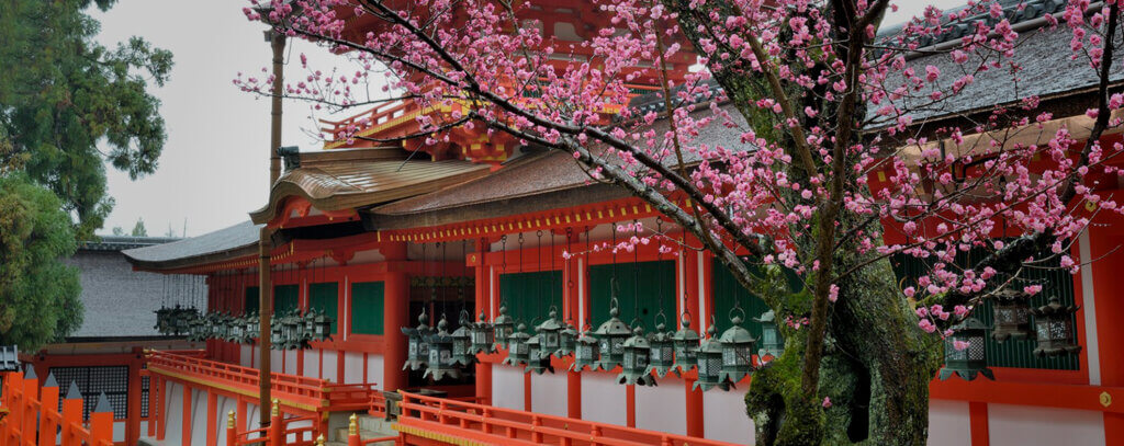 復縁が叶う奈良県の強力なおすすめパワースポットランキング・春日大社（奈良市）の画像