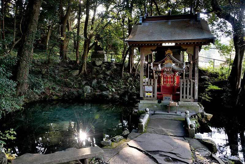 復縁が叶う茨城県の強力なおすすめパワースポットランキング・泉神社（日立市）の画像